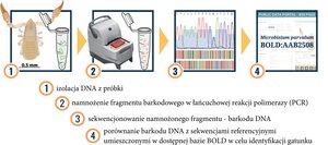 barcoding